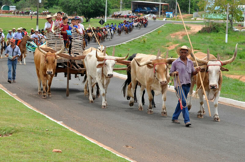 Imagem de compartilhamento para o artigo Prefeito Juvenal Consolaro e Sindicato Rural convidam população para a tradicional cavalgada dos 22 anos de Figueirão da MS Todo dia